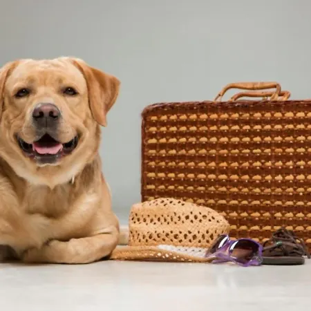 Penaquinera En Vut-3033-as * Llanes